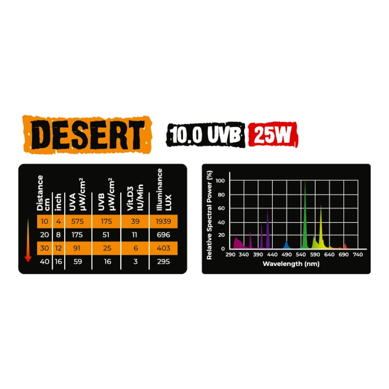 Desert 25W.jpg